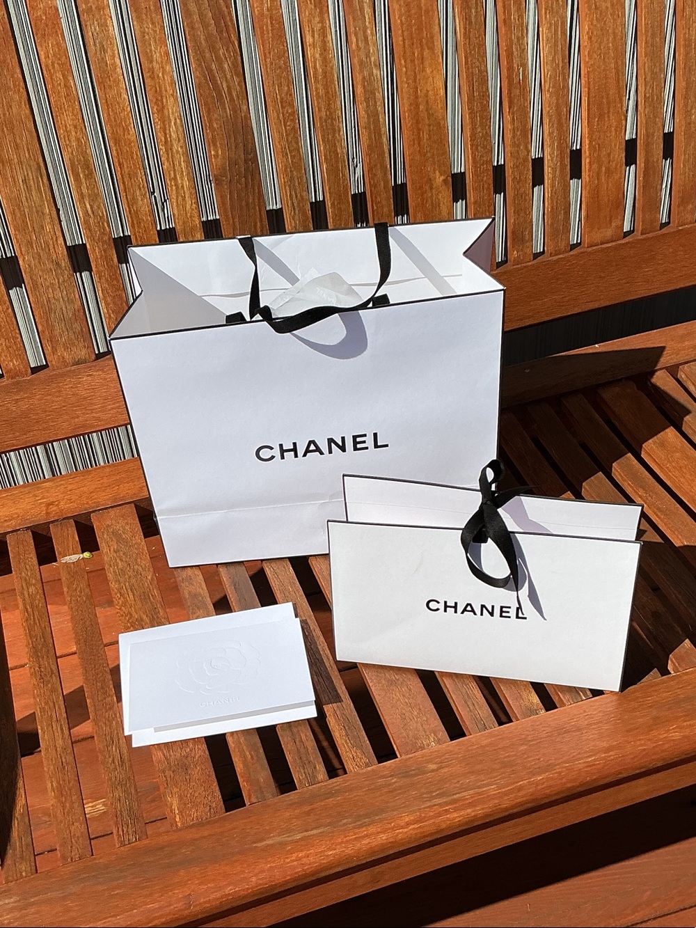 Chanel shopping bags and blank card. NEW